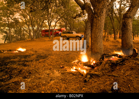 50,000 acre California wildfire at Henry Coe State Park south of San Jose fought by CAL Fire CDF Stock Photo