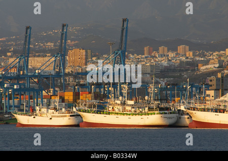 Japanese Fishing Boats, Las Palmas Docks Stock Photo