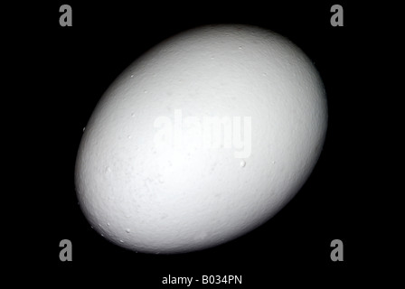one single chicken egg on a black background Stock Photo