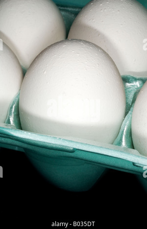 chicken eggs in a styrofoam egg carton Stock Photo
