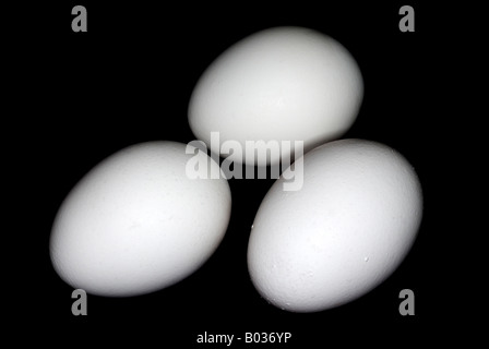 Three chicken eggs on a black background Stock Photo