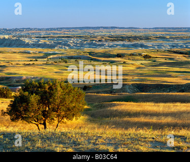 Badlands National Park South Dakota 6 July 2007 Sage Creek Basin Pentax 67II 45mm lens f 11 1/30 polarizer Stock Photo