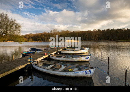 Rowing Boats for hire at Ormesby Little Broad on the Norfolk Broads Stock Photo