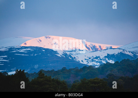Scottish Spring April landscape; Early Morning  Snow illuminated over Ben Mcdui or Macdui in the Cairngorms National Park, Scotland UK Stock Photo