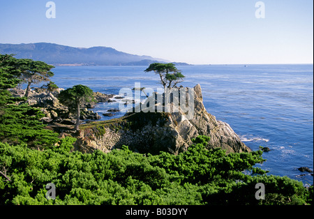 A view of the Lone Cypress tree on the famous 17 mile Drive along the Pacific Ocean in Carmel California Stock Photo