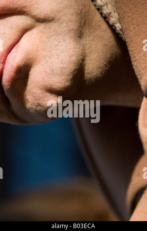 Man Close-up, London Stock Photo