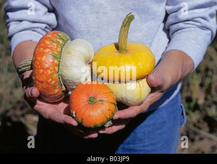 A farm girl holds squash and gourds from her family garden in central Iowa Stock Photo