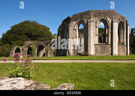The Ruins of the Abbey at Margam Country Park, South Wales. UK
