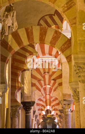 Nave of the original mosque of Abderraman I at the Mezquita (Cathedral-Mosque), City of Cordoba, UNESCO World Heritage Site Stock Photo