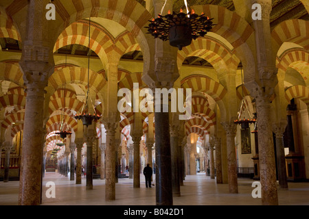 Naves of Mezquita (Cathedral-Mosque), City of Cordoba, UNESCO World Heritage Site, Province of Cordoba, Andalusia (Andalucia) Stock Photo