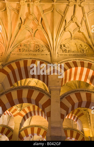 Naves of Almansur (Aisles of Almanzor) at the Mezquita (Cathedral-Mosque), City of Cordoba, UNESCO World Heritage Site Stock Photo