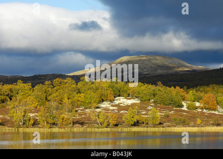 autumn landscape herbstlandschaft fokstumyra oppland norwegen norway nordeuropa north europe Stock Photo