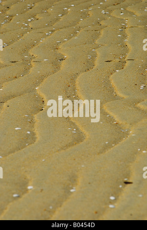 Sand Structure at Abel Tasman NP, Nelson Region, South Island, New Zealand Stock Photo