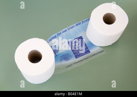 Still Life Studio Close up Two full toilet rolls made out of sustainable wood products Stock Photo