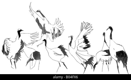 Hand drawn, pan and ink image of Cranes dancing Stock Photo