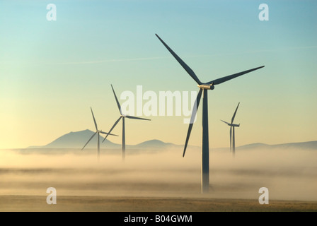 Wind farm emerging from morning mist at Causeymire, Caithness, Scotland, UK Stock Photo