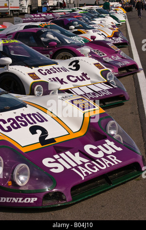 SILK CUT JAGUAR XJR9 LM #3 TWR LE MANS 24 HOURS 1988 ORIGINAL