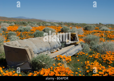 Discarded couch in a field of orange California poppy flowers Stock Photo