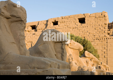 The Avenue of Sphinxes and the First Pylon at Karnak Temple Luxor Egypt Stock Photo