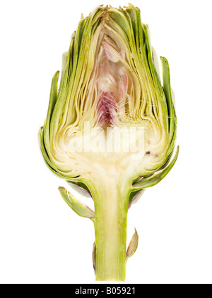 Fresh Uncooked Ripe Globe Artichoke Vegetable Isolated Against A White Background With No People And A Clipping Path Stock Photo