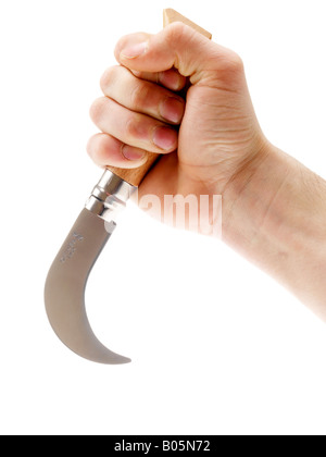 Man Holding Bill Hook Knife Stock Photo