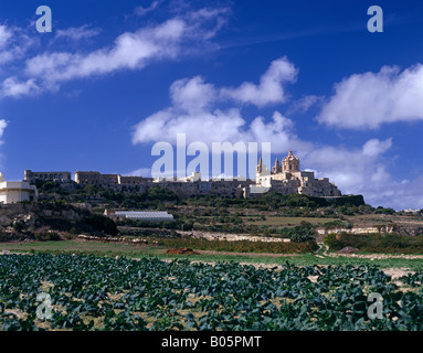 City view, St Peter Paul cathedral, Mdina, Malta Stock Photo