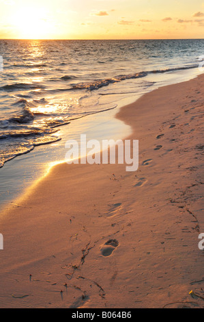 Footprints on sandy tropical beach at sunrise Stock Photo