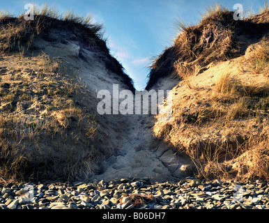 This is a full colour image of the sand dunes at whiteford point on the north west end of the gower peninsula. Stock Photo