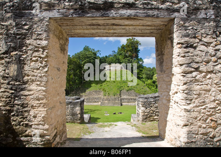 Belize, Caracol ruins, Plaza A, Temple of the Wooden Lintel, one of the oldest buildings in Caracol Stock Photo