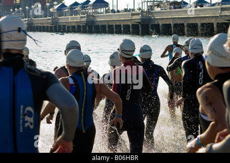 Triathlete Swimmers Running into the Water at the Saint Anthony's Triathlon in St Petersburg Florida Stock Photo