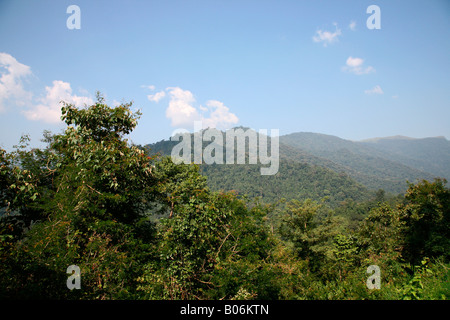 Hills of nilgiri Stock Photo