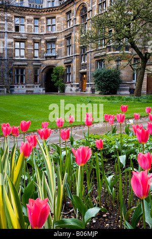 Part Of The Quad Known As The Tree Court At Gonville And Caius College part-of-the-quad-known-as-the-tree-court-at-gonville-and-caius-college