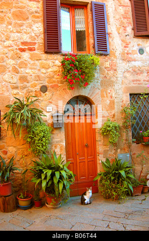 A cat seeks entrance to home in Pienza, Italy. Stock Photo