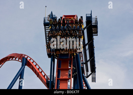 Busch gardens sheikra hi-res stock photography and images - Alamy