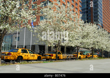 Taxis waiting for the customers, New York City Stock Photo