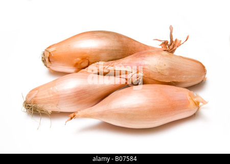 Best Echalion Shallots Royalty-Free Images, Stock Photos & Pictures