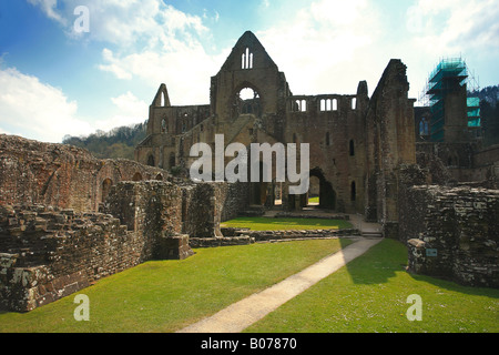 Tintern Abbey ruins Monmouthshire Wales UK Stock Photo