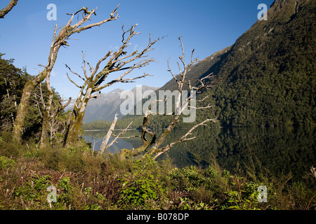 Lake Gunn in Fiordland on the South island of New Zealand, 2008 Stock Photo