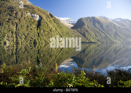 Lake Gunn,fiordland national park,south island,New Zealand Stock Photo