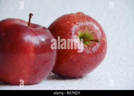 Red Apple on White Background Stock Photo