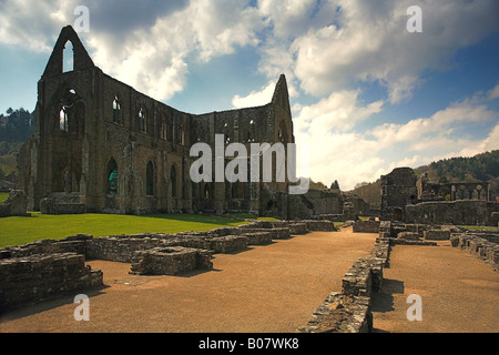 Tintern Abbey ruins Monmouthshire Wales UK Stock Photo