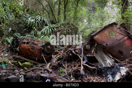 remains of a car wrecked down a river Stock Photo