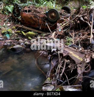 remains of a car wrecked down a river Stock Photo