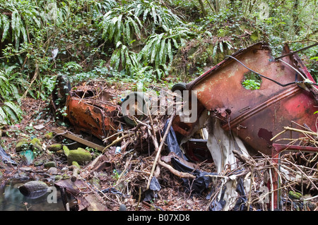 remains of a car wrecked down a river Stock Photo