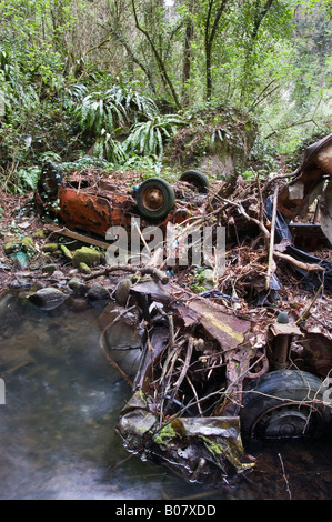 remains of a car wrecked down a river Stock Photo