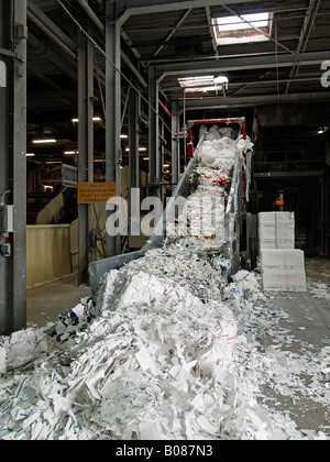 Conveyor belt feeding waste paper shreds into recycling machine at a paper factory in Cuijk the Netherlands Stock Photo