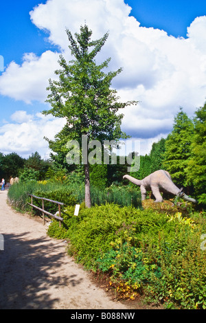 Dinosaur in Arbotetum Ellerhoop Stock Photo