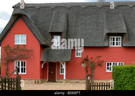 Stone built Terracotta coloured Tudor Thatched Cottage Abbots Ripton village Cambridgeshire England Britain UK Stock Photo