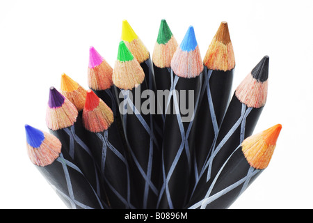 Coloring pencils arranged on white background Stock Photo