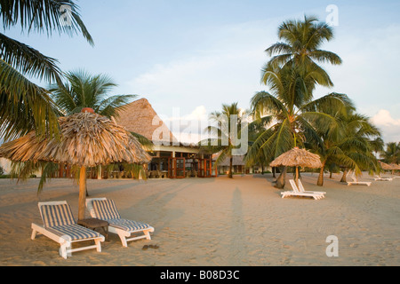 Thatched palapas, palm trees and lounge chairs on beach, Jaguar Reef Lodge, Hopkins, Stann Creek District, Belize Stock Photo